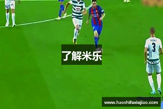 了解米乐